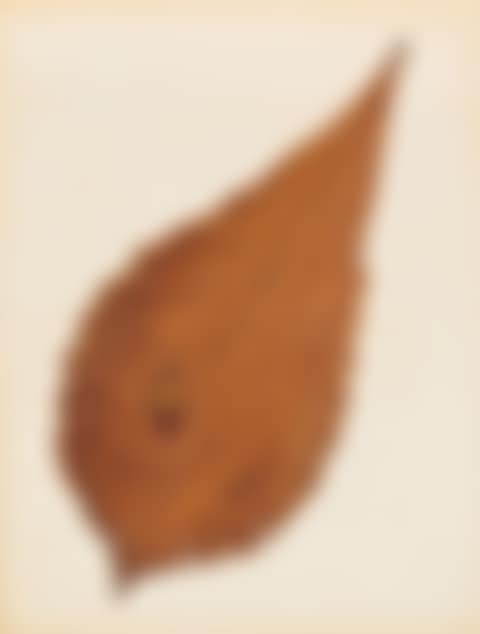 Water Drop (preview)