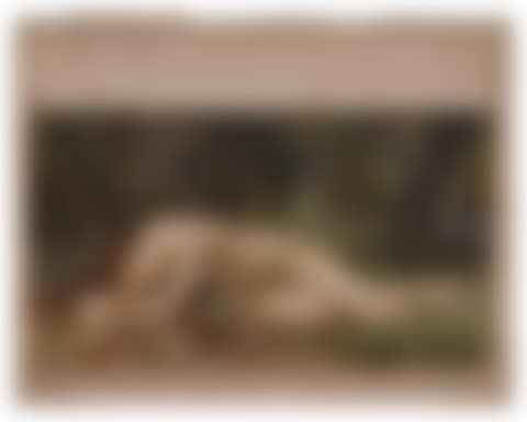 Study for Biblis (preview)