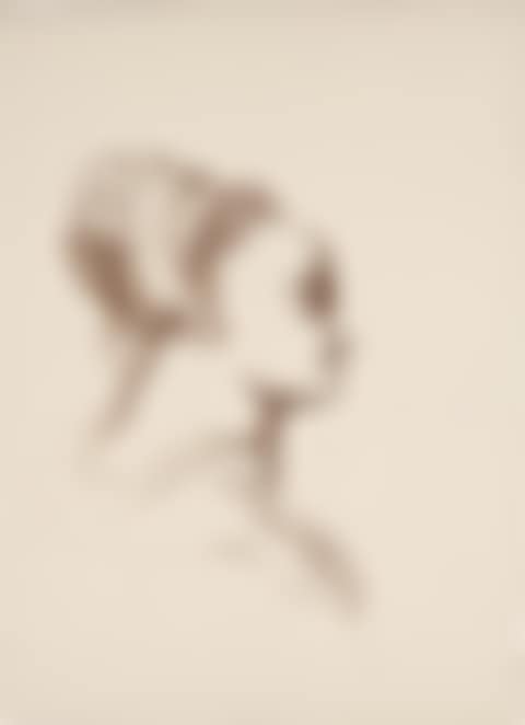 Lievens Study (preview)
