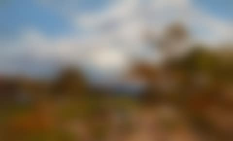 Cattle and Drover with an Extensive River Landscape Beyond (preview)