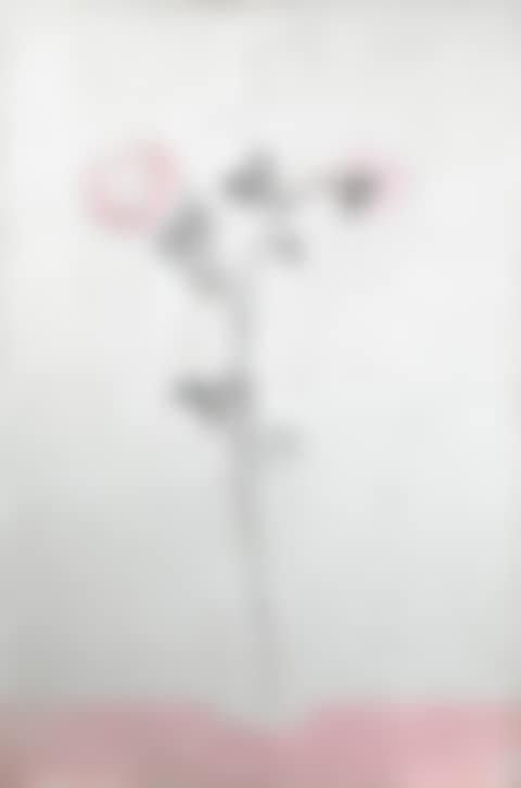 Two Pink Chrysanthemums in a Clear Vase (preview)