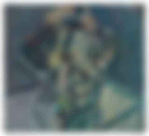 Head of Gerda Boehm (preview)