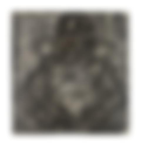 Head of Tom Phillips (preview)