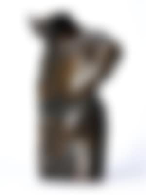 Torso (preview)