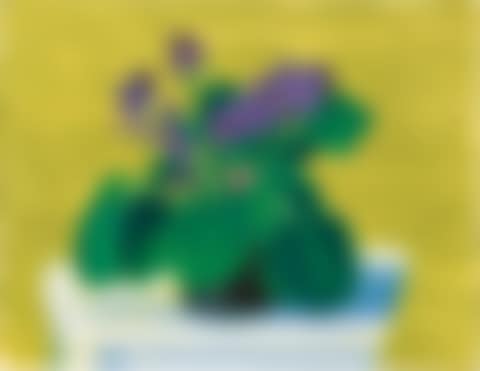 Bridlington Violets (preview)