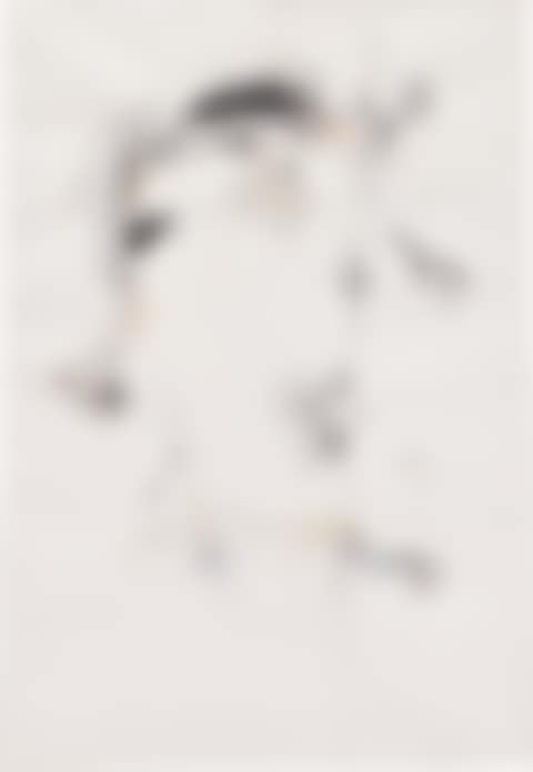 Alter Idem I (preview)