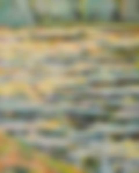 Waterlilies (preview)