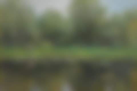 Pond (preview)