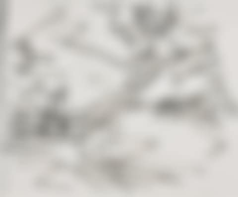 Study for Tree on Primrose Hill (preview)