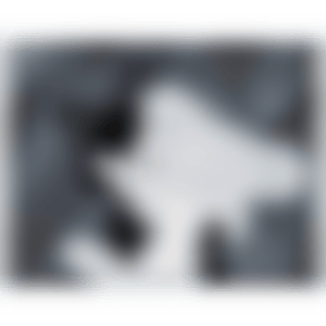 HEART (preview)