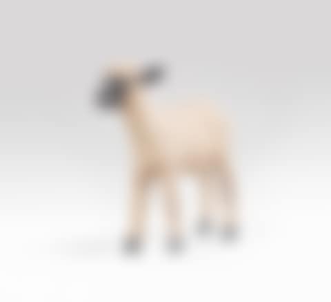 Agneau (preview)