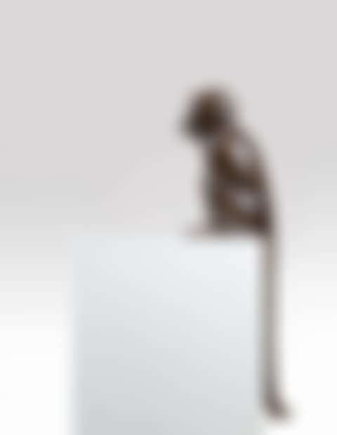 Singe II (preview)