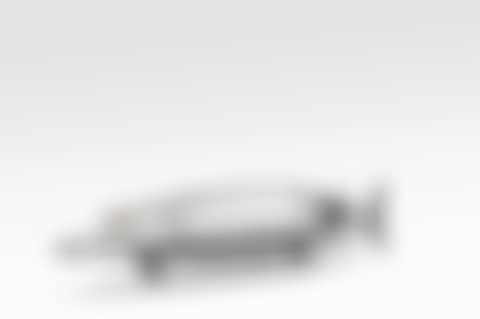 Brochet (preview)