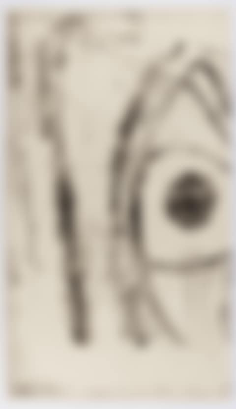 Grosses Auge (preview)