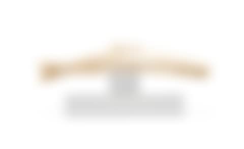 Statuette de cachalot en os, Côte Nord-Ouest| Spermwhale figure, North-West Coast, (preview)