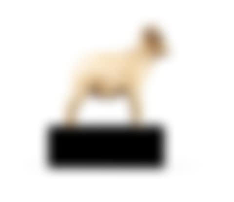 Jeune mouflon en ivoire de morse, Alaska / Sibérie | Young bighorn sheep walrus ivory figure, Alaska / Siberia (preview)