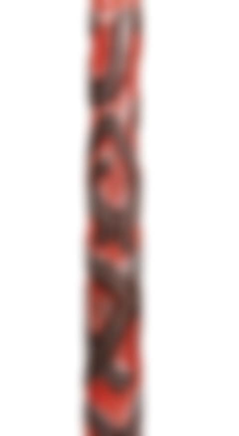 Canne, Lac Sentani, Papuasie-Nouvelle-Guinée | Sentani Lake staff, Papua New Guinea (preview)
