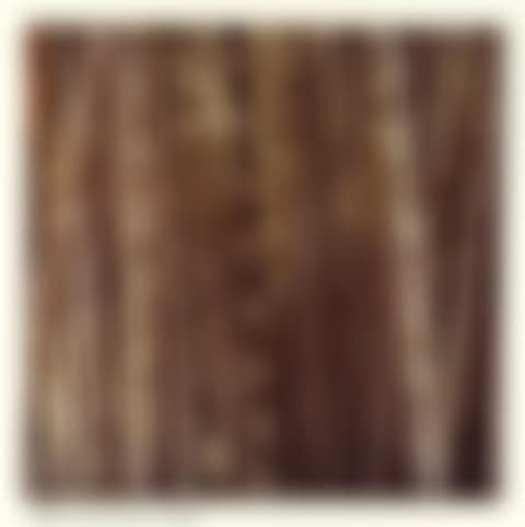 Bamboo, from 'Studies for Chinese Summerhall (Large)' (preview)