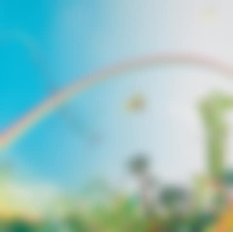 Japanese Apricot; Sky (preview)