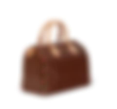 A LIMITED EDITION MONOGRAM CERISES CANVAS SPEEDY 25 (preview)