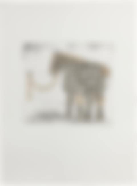 Le Cheval (preview)