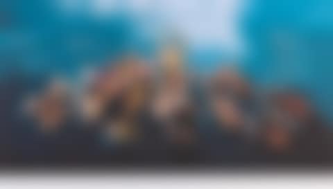 Offering (preview)