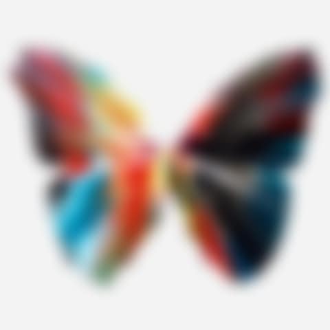 Butterfly Spin Painting (preview)