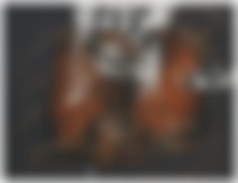1.3.8 (preview)
