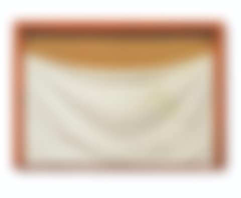 Show Window (preview)