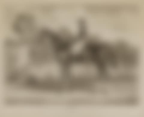 A Group of 5 Sporting Prints; Fox-Hunting Plates (preview)