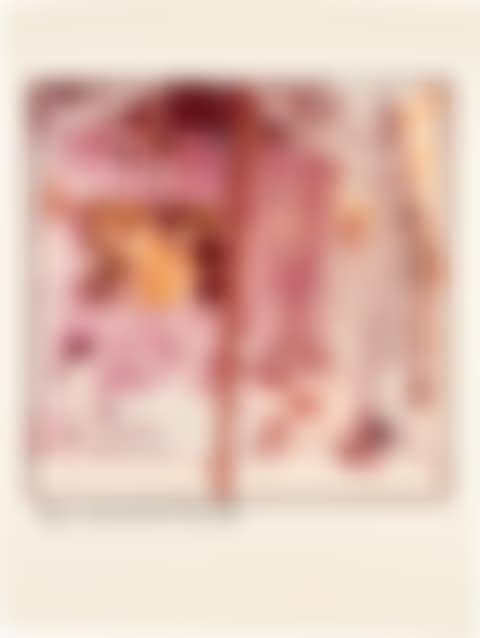 Pink Window, from Studies for Chinese Summerhall (preview)