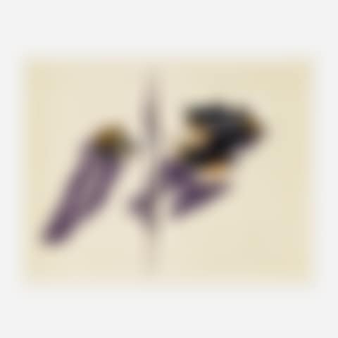 Untitled (preview)