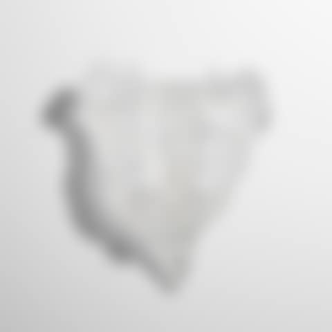 Tail (preview)