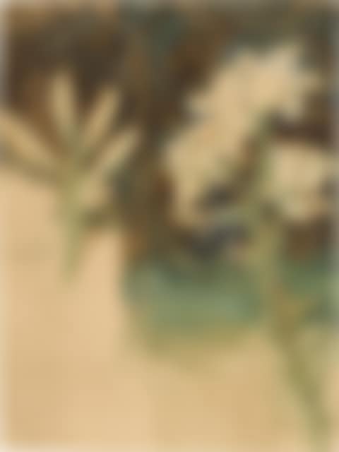Study of Lilies for May Morning on Magdalen Tower (preview)