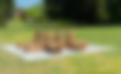 Sphinges (preview)