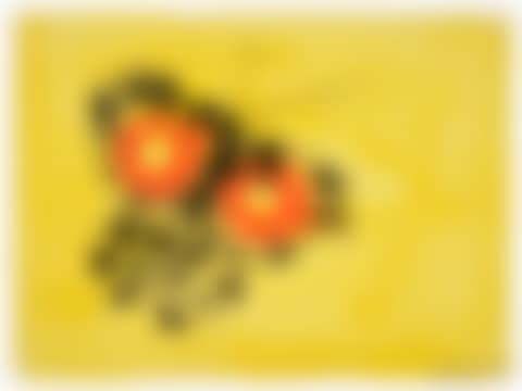 Big Butterfly (preview)