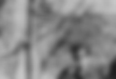 Allen Ginsberg (preview)