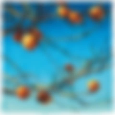 Persimmons (preview)