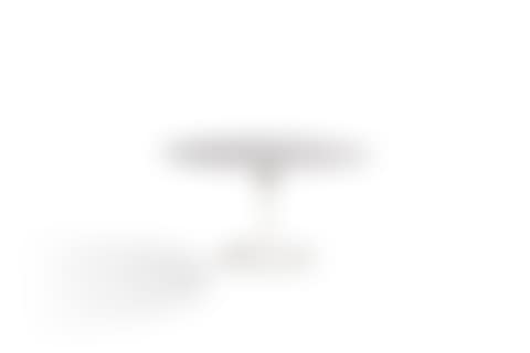 Table Tulipe (preview)