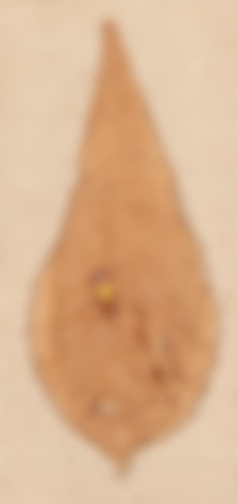 Waterdrops (preview)