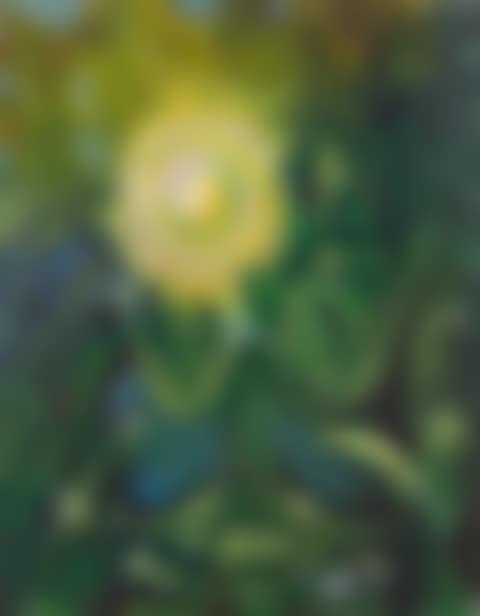Golden Eye (preview)