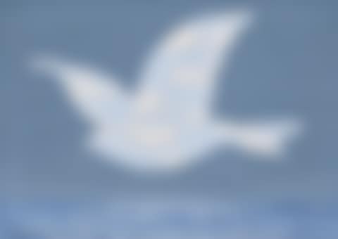 Le retour (preview)