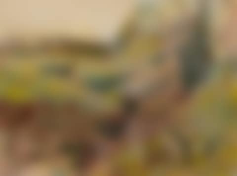 Paysage (preview)
