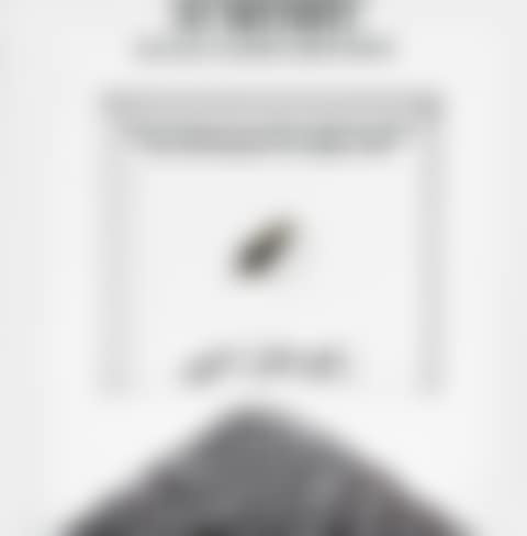 SUN FLOWER SEED (preview)