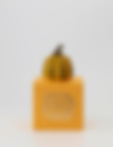 PUMPKIN JAUNE (preview)