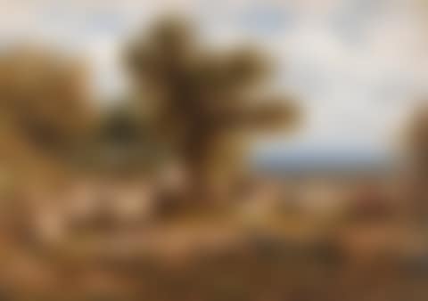 'Sheep' (preview)