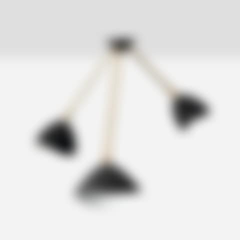 Ceiling lamp (preview)