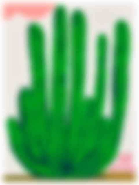Keep your Ass away from the Cactus (preview)