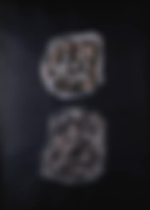 Deux tetes (preview)