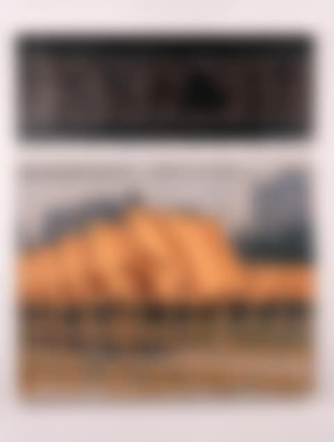The Gates, Project for Central Park, New York City (preview)